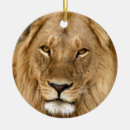 Search for lion king christmas tree decorations Africa