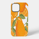 Search for citrus fruit iphone cases Illustration
