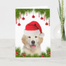 Search for cute golden retriever puppy christmas cards Funny