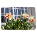 Search for emotion magnets Design