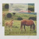 Search for mare invitations Foal