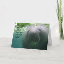 Search for manatee cards Funny