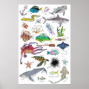 Search for shark nursery decor Marine