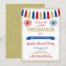 Search for fourth of july gender reveal Fireworks