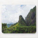 Search for needle mouse mats Nature