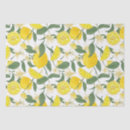 Search for pineapple tissue paper Botanical