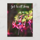 Search for fuchsia flower postcards Elegant