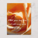 Search for rose macro postcards Nature