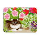 Search for coon magnets Tabby