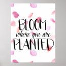 Search for rose bloom posters Pink