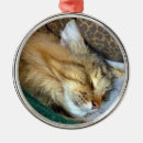 Search for maine coon cat christmas tree decorations Long hair