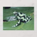Search for unusual postcards Cute