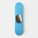 Search for hedgehog skateboards Cartoon