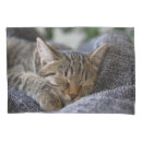 Search for baby animals pillowcases Sleeping