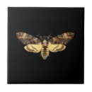 Search for deaths head moth home living Butterfly
