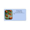 Search for songbirds return address labels Nature