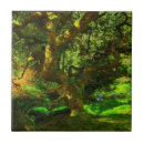Search for japanese garden tiles Green