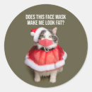 Search for animal mask stickers Funny