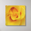 Search for yellow rose art Floral