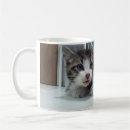 Search for curious cat mugs Humour