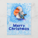 Search for european robin bird postcards Winter
