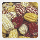 Search for maize stickers Yellow