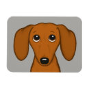 Search for rectangular magnets Cute