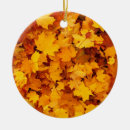 Search for fall autumn leaves christmas decor Season