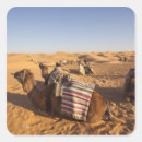 Search for erg stickers Desert