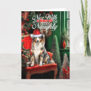 Search for shepherd christmas cards Dogs