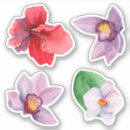 Search for watercolor orchid stickers Botanical
