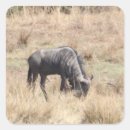 Search for wildebeest stickers African