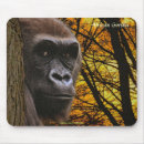 Search for great ape electronics Primates