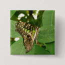 Search for tropical butterflies badges Green