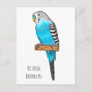Search for blue parakeet postcards Bird