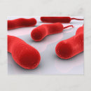 Search for germ postcards Microorganism