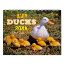 Search for duck calendars Nature