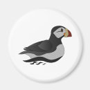 Search for adorable magnets Cartoon