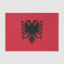 Search for albanian crafts party Paper