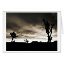 Search for pipe photography Nature