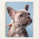 Search for french bulldog office supplies Canine