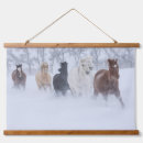 Search for quarter horses art Winter