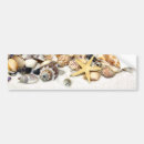 Search for seashell bumper stickers Beach