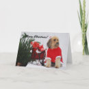 Search for wheaten terrier christmas cards Coated