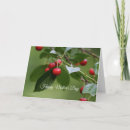 Search for cherry tree cards Red