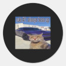 Search for rally stickers Funny cat