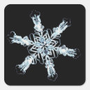 Search for stellar stickers Outer space