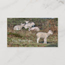 Search for sheep farm business cards Flock