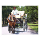 Search for horse and carriage Buggy