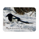 Search for bills magnets Animal